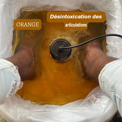 Healifeco™ Ionic Foot Spa - Désintoxication et nettoyage à domicile !